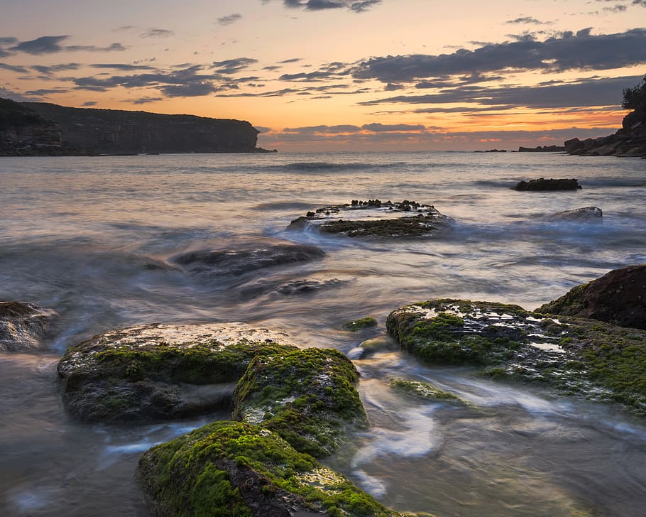 rocks on beach under nimbus clouds, plant, algae, australia, sydney HD wallpaper