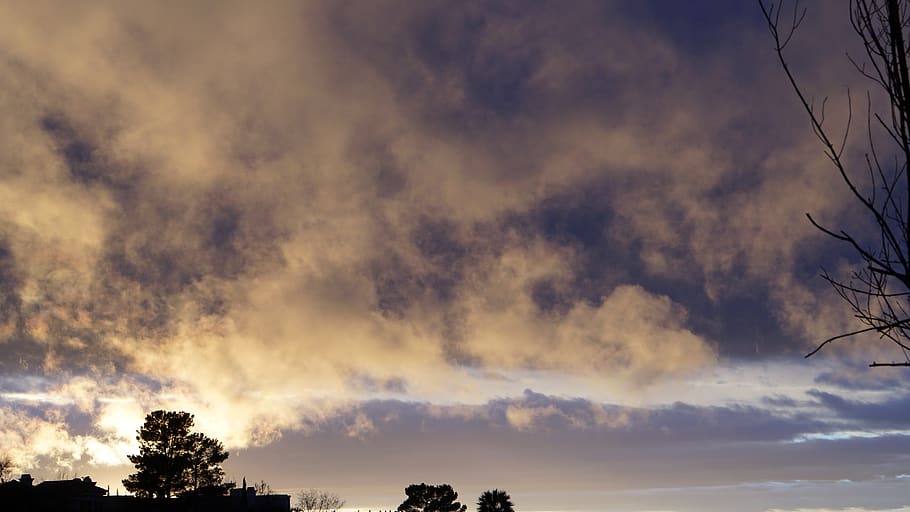 nature, tree, dead, alive, cloud, clouds, cloudy, sky, trees HD wallpaper