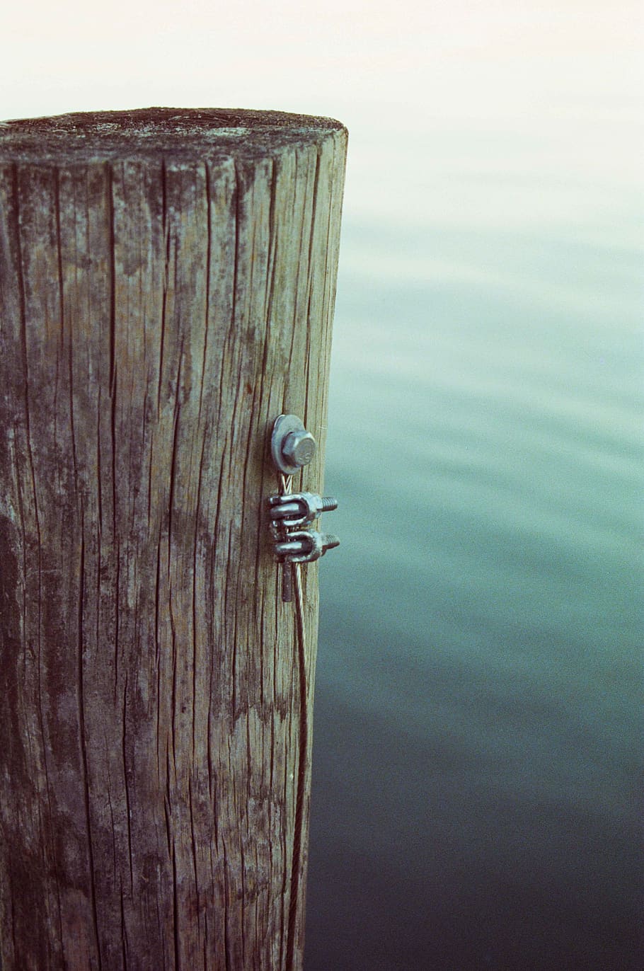 gray cable on wooden post, wood - material, no people, day, water HD wallpaper