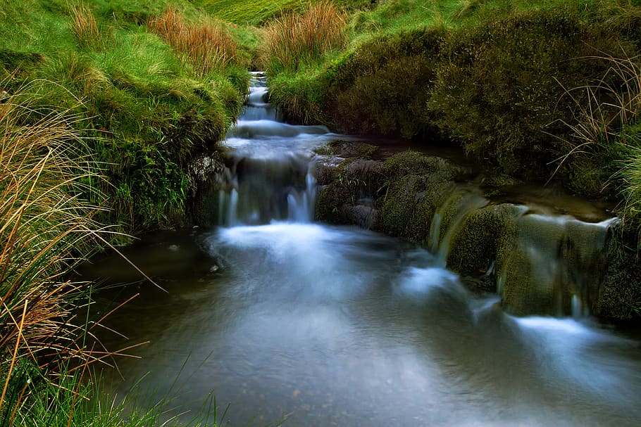 water, waterfall, river, flow, nature, natural, landscape, plant HD wallpaper