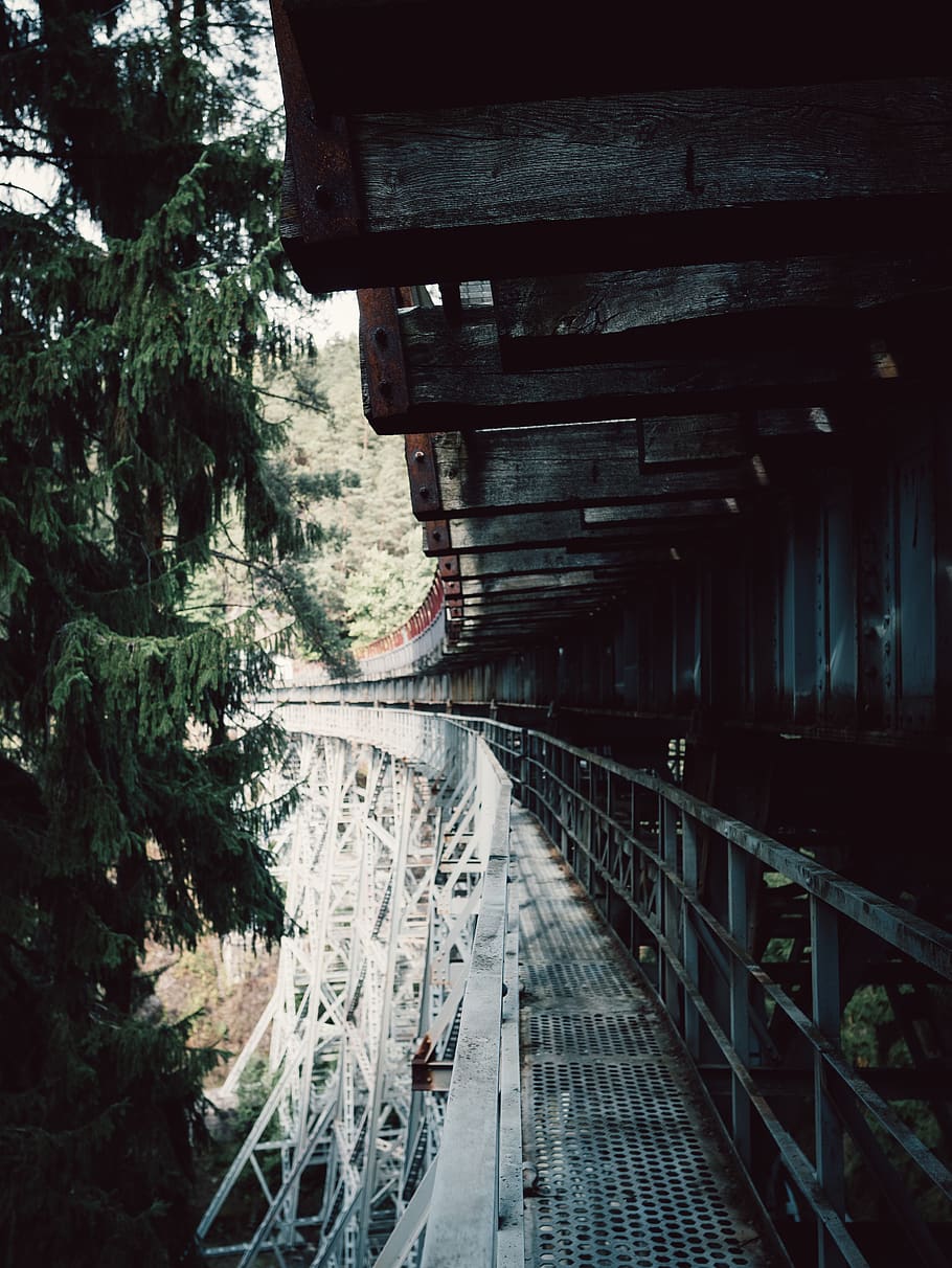 Close-up Photography of Metal Bridge, construction, dark, forest HD wallpaper