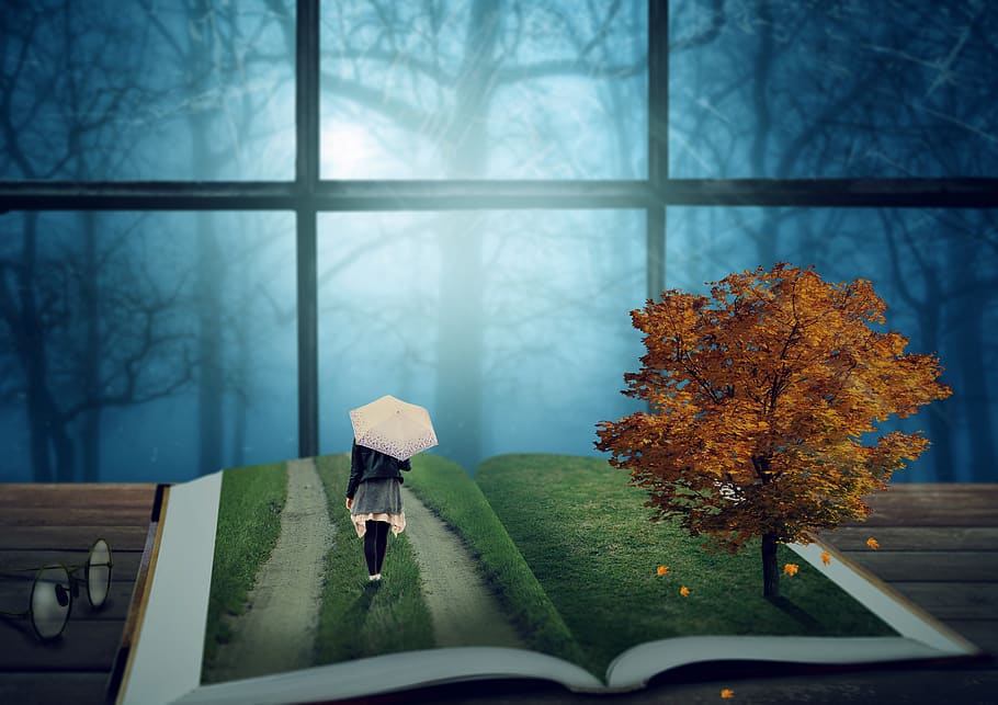 fantasy, book, tree, girl, screen, forest, window, glasses, HD wallpaper