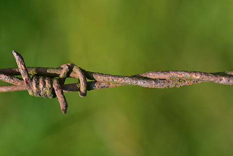barbed wire, rust, fence, metal, security, risk, demarcation HD wallpaper