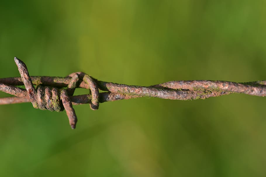 barbed wire, rust, fence, metal, security, risk, demarcation HD wallpaper