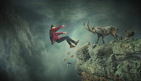 fall, mountains, capricorn, landscape, accident, animal, nature HD wallpaper