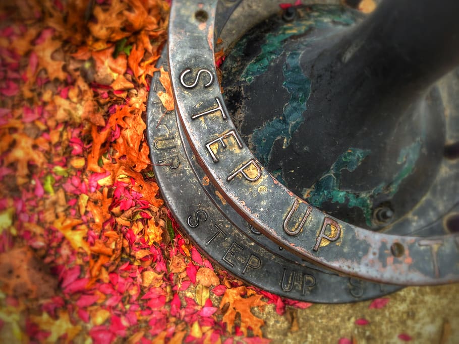 autumn, fall, leaves, leaf, metal, ground, nature, close-up HD wallpaper