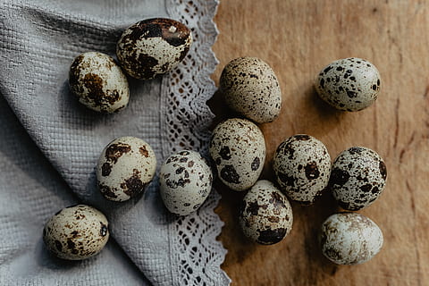 Quail eggs, food, easter, food and drink, freshness, no people HD wallpaper