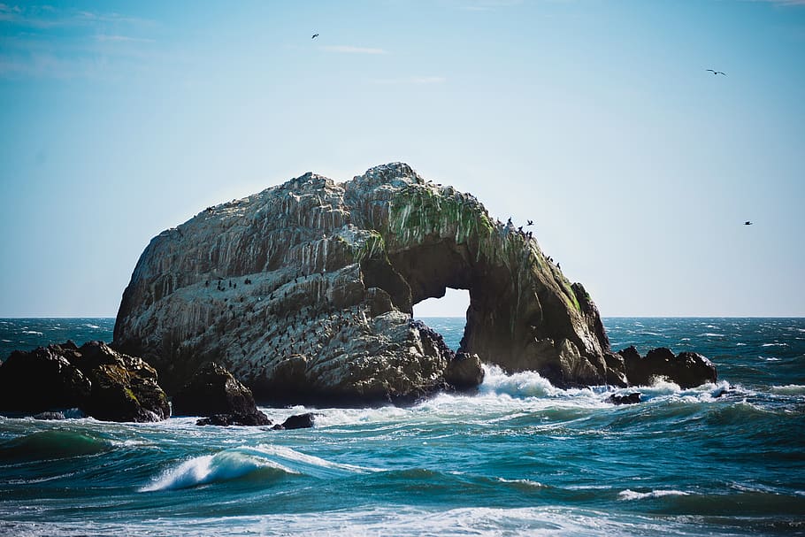 ocean, sea, waves, rocks, coast, birds, sky, sunny, water, rock - object HD wallpaper