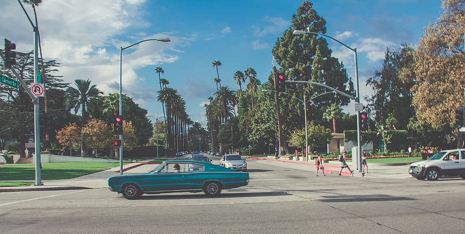 traffic, light, car, vehicle, road, street, trees, view, nature HD wallpaper