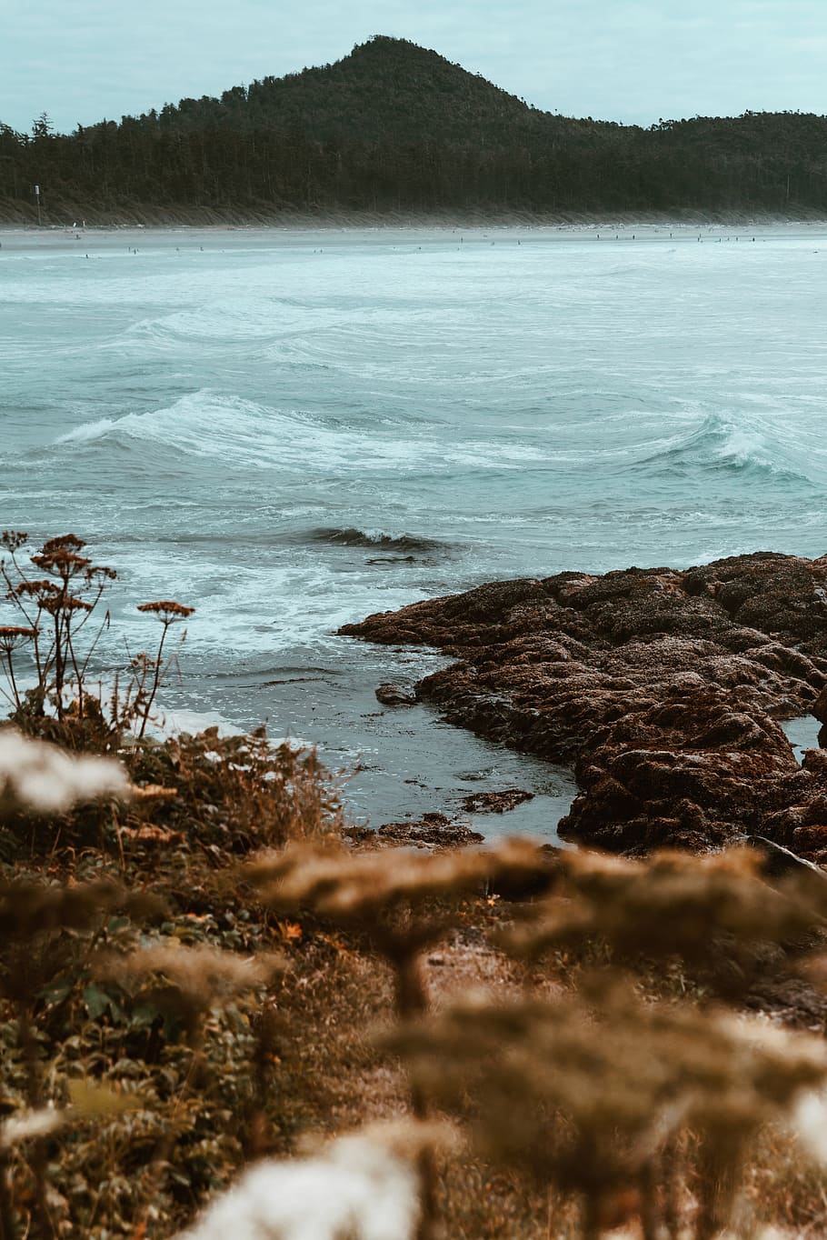 Autumn Shore Photo, Ocean, Beaches, Earth, Outdoor, Plants, Sea HD wallpaper