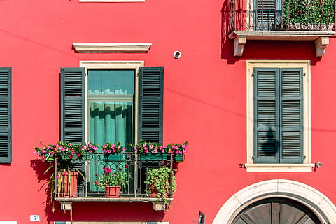 pink flowers, plant, shutter, window, balcony, pottery, vase HD wallpaper