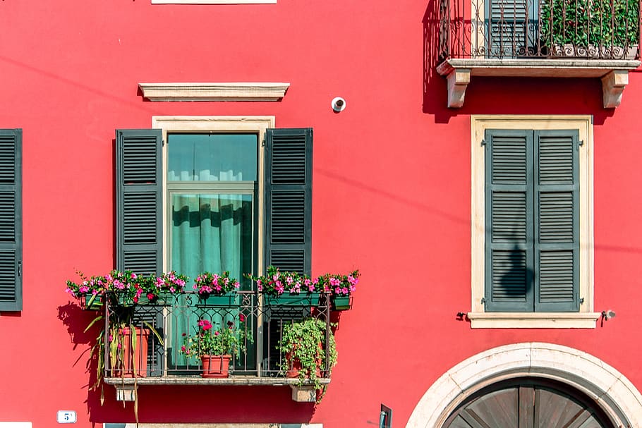 pink flowers, plant, shutter, window, balcony, pottery, vase HD wallpaper