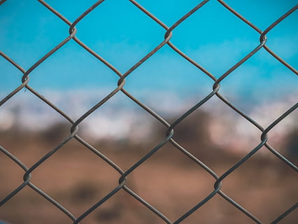 fence, grille, pattern, prison, chain, plant, hedge, bush, vegetation HD wallpaper