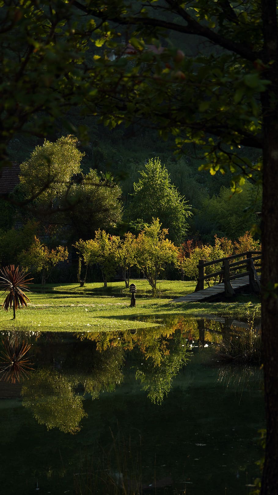montenegro, morinj, plant, tree, water, lake, reflection, nature HD wallpaper
