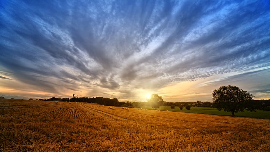 Photo of Brown Field during Sunrise, clouds, crop, cropland, daylight HD wallpaper
