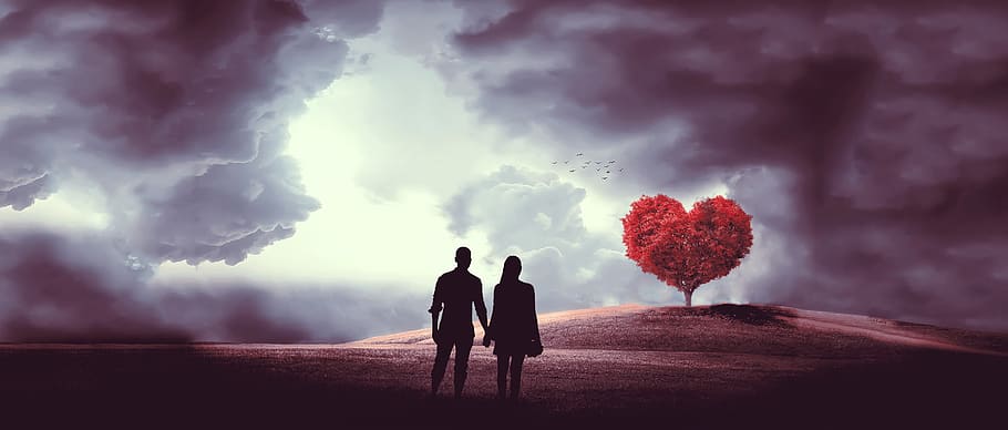 heart, tree, couple, love, romance, lovers, nature, romantic, HD wallpaper