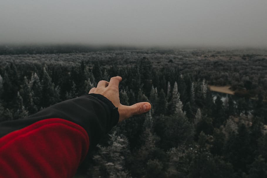 trees, forest, woods, hand, red, first person, wallpaper, cold HD wallpaper