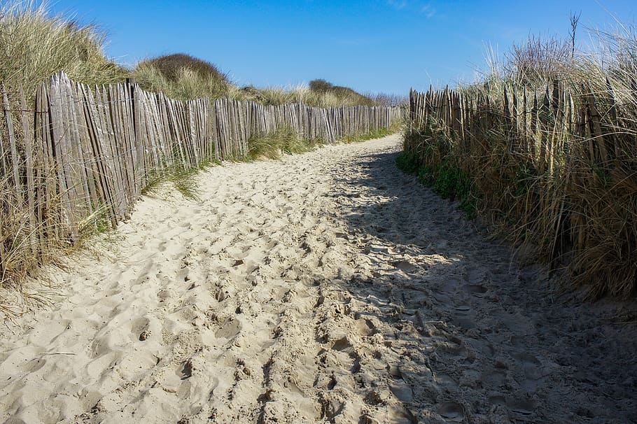 dune, sand, zeen, beach, sand dunes, heat, texture, plant, land, HD wallpaper