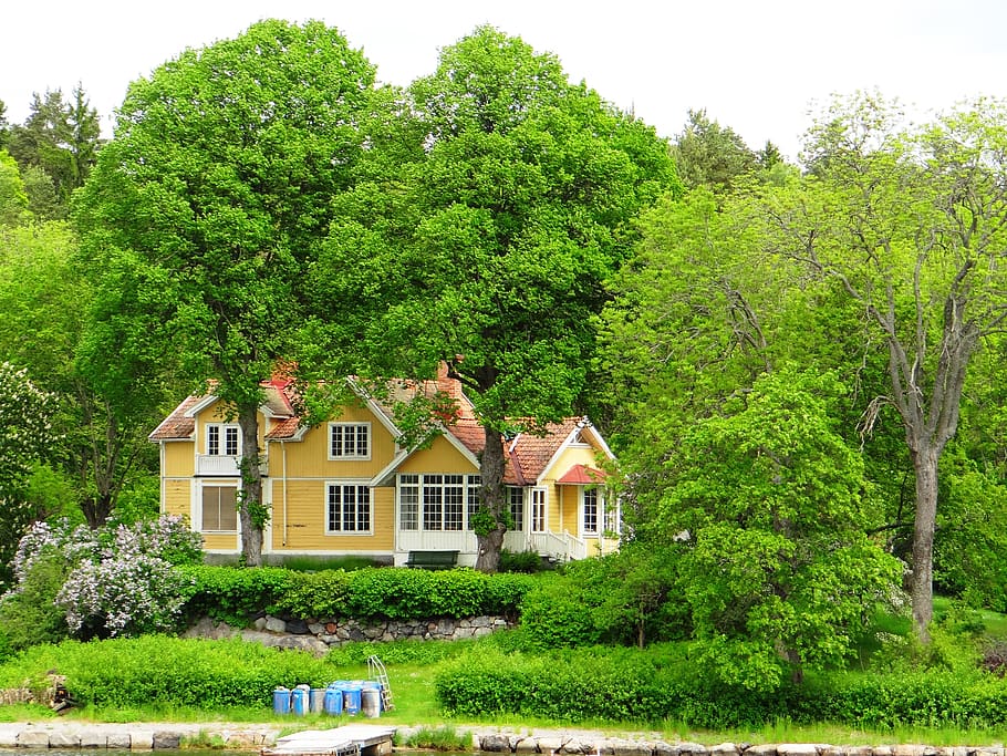 stockholm, tree, plant, building exterior, architecture, built structure HD wallpaper