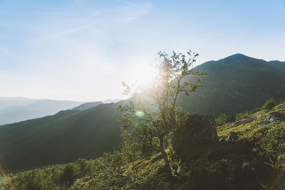 flare, light, nature, mountain, outdoors, mountain range, tree HD wallpaper