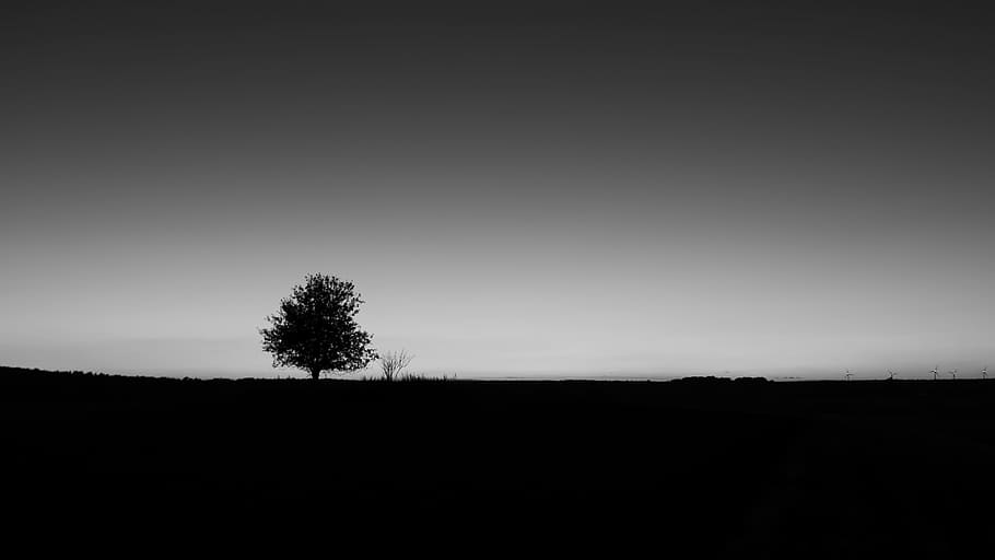 grayscale photo of silhouette of tree, hill, monochrome, single