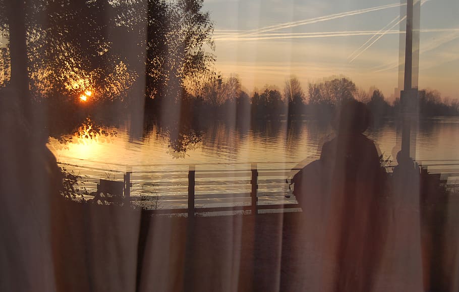 italy, milan, water, tree, nature, reflection, sky, sunset HD wallpaper