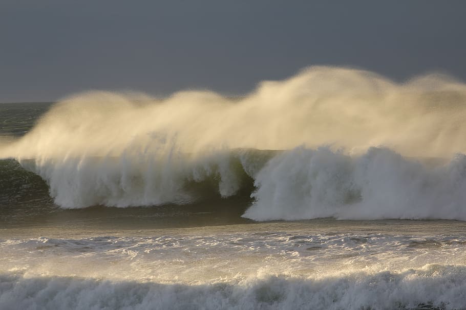beach, wave, aqua, liquid, water, surf, sea, ocean, motion HD wallpaper