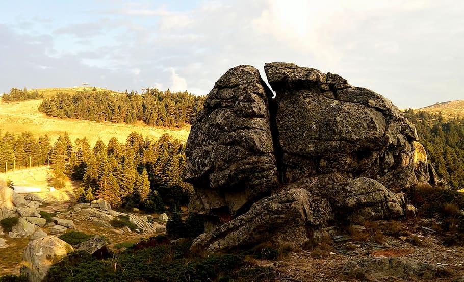 rock, cliff, trees, plant, landscape, nature, grass, field HD wallpaper