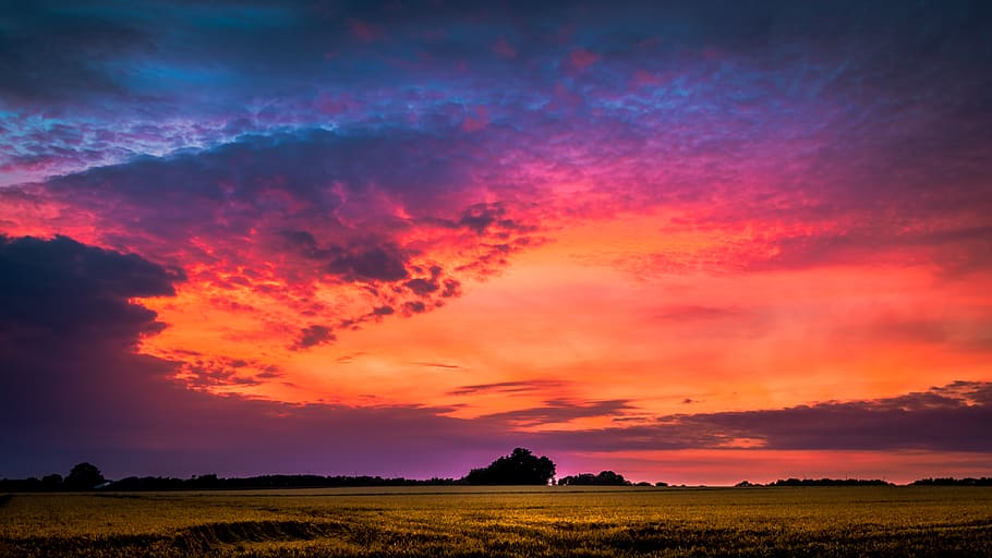 bright, bright colours, dramatic, evening sun, sunset, dawn HD wallpaper