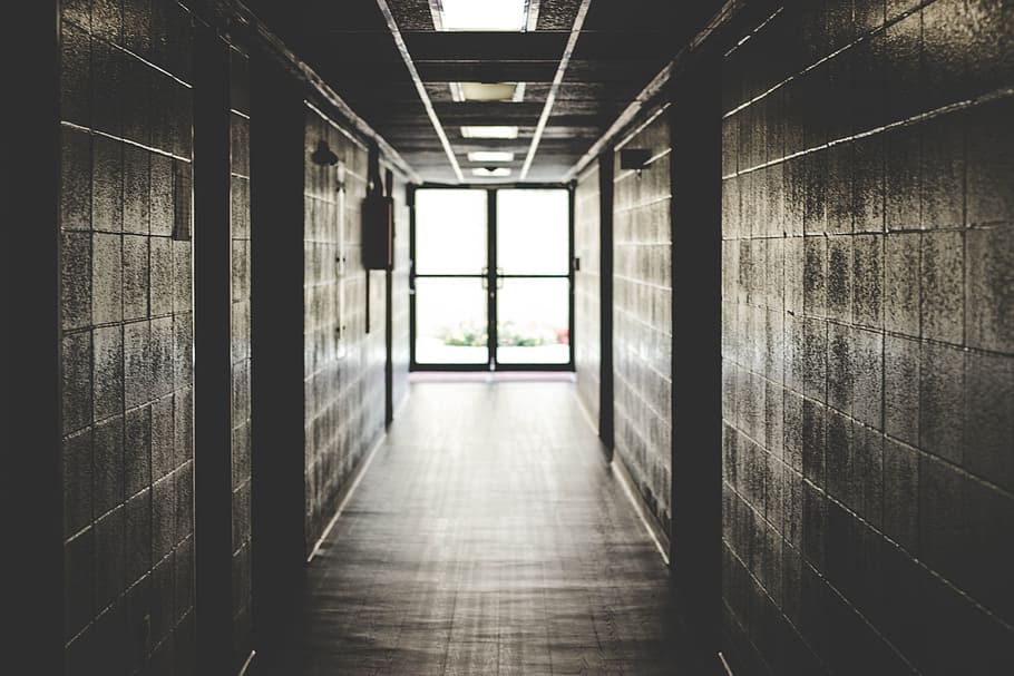 silhouette photography of hallway, door, window, light, shadow HD wallpaper