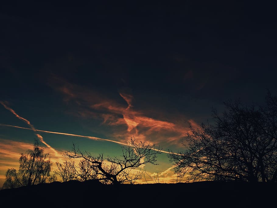 germany, jena, night, sun, trees, silhouette, sky, cloud - sky, HD wallpaper