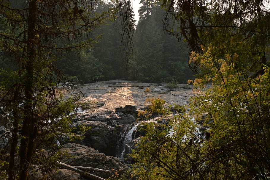 trees, river, waterfall, sunset, summer, nature, beautiful HD wallpaper