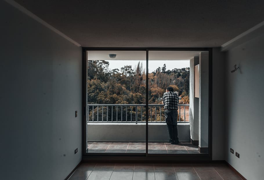 chile, indoors, window, tree, architecture, real people, plant HD wallpaper