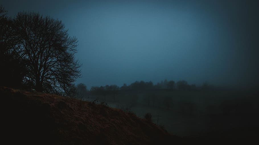 green leaf tree on brown mountain, dark, winter, mysteriou, blue HD wallpaper