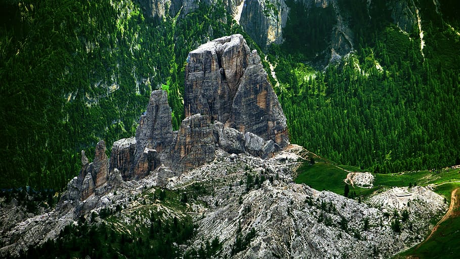 nature, outdoors, cliff, mountain, plant, tree, abies, fir HD wallpaper