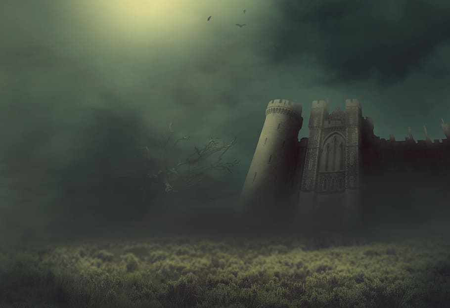 fantasy, castle, fog, meadow, tree, bats, knight's castle, surreal
