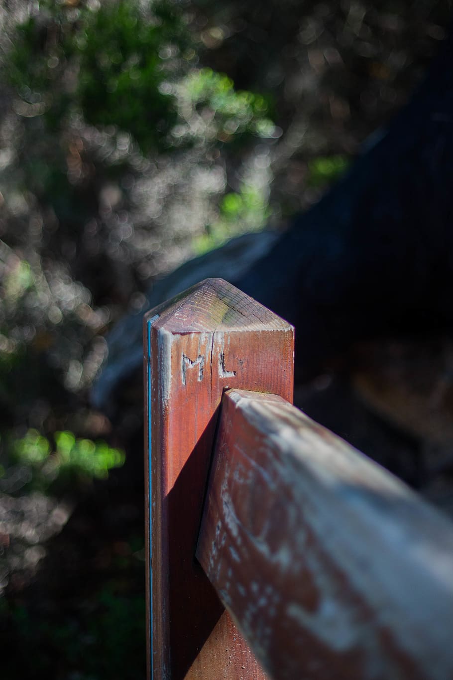 bench, engraving, memory, forest, wood, day, close-up, metal HD wallpaper