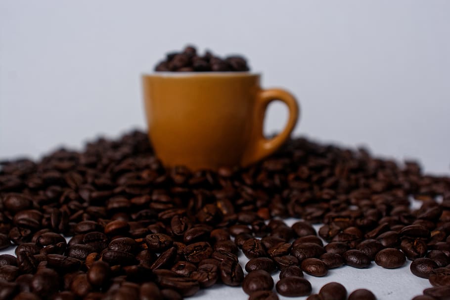 Brown Mug Filled With Coffee Beans, aroma, aromatic, blurred background HD wallpaper
