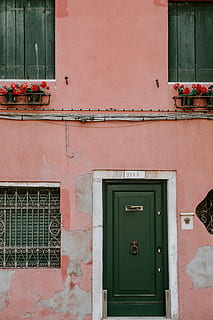 closed wooden door, wall, window box, flower, bars, shutter, exterior HD wallpaper