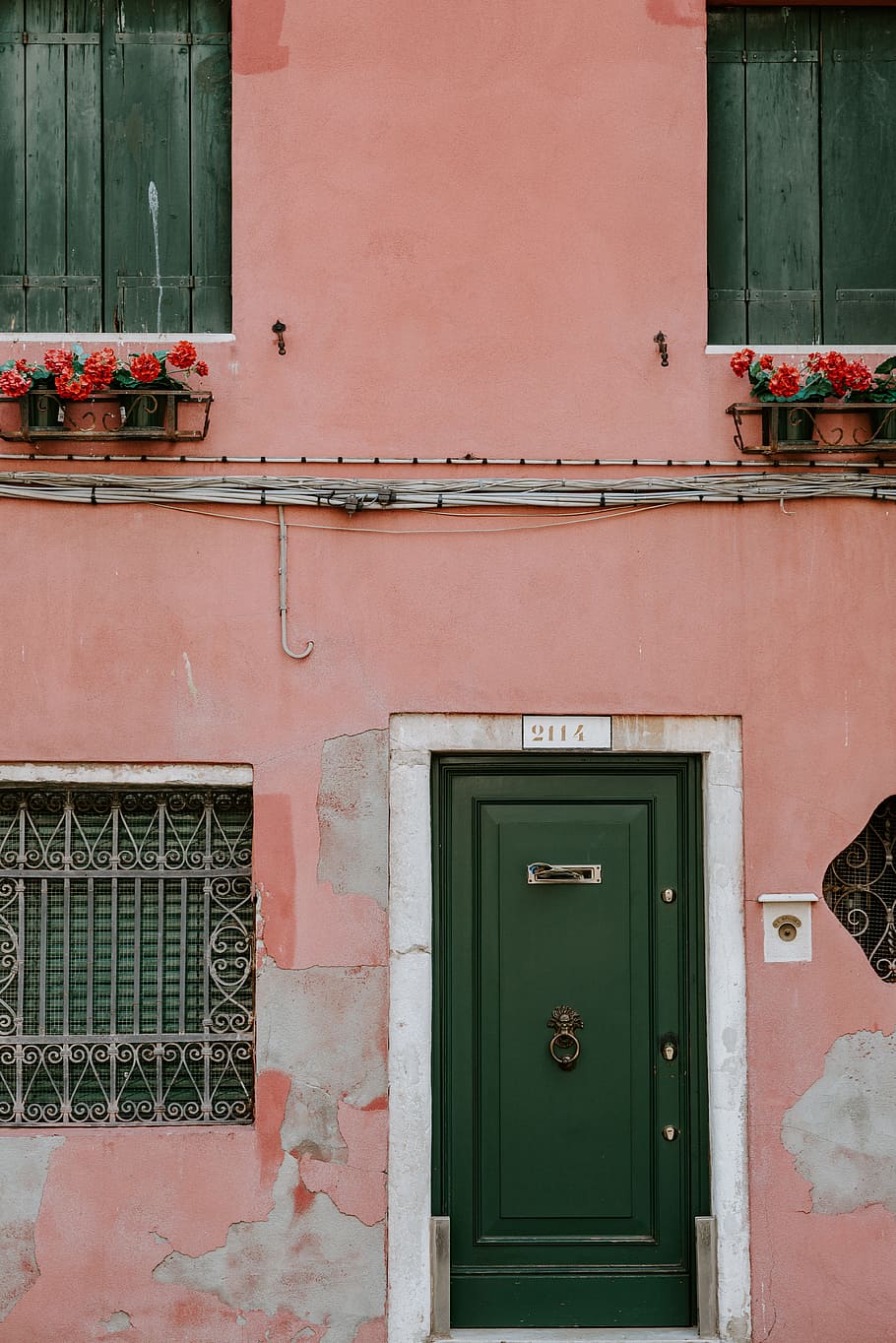 closed wooden door, wall, window box, flower, bars, shutter, exterior HD wallpaper