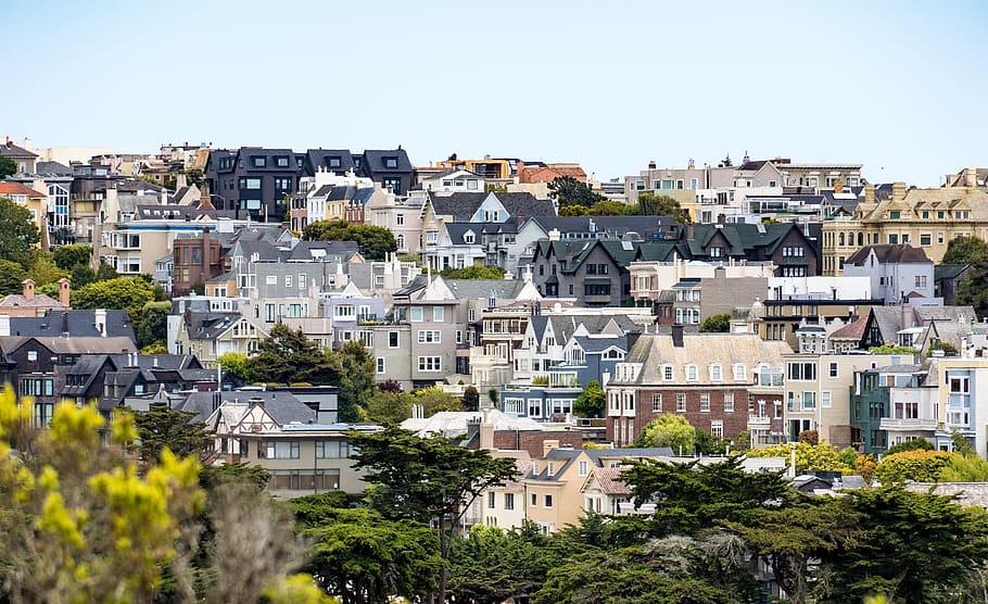buildings during daytime, city, nature, town, san francisco, aerial view HD wallpaper