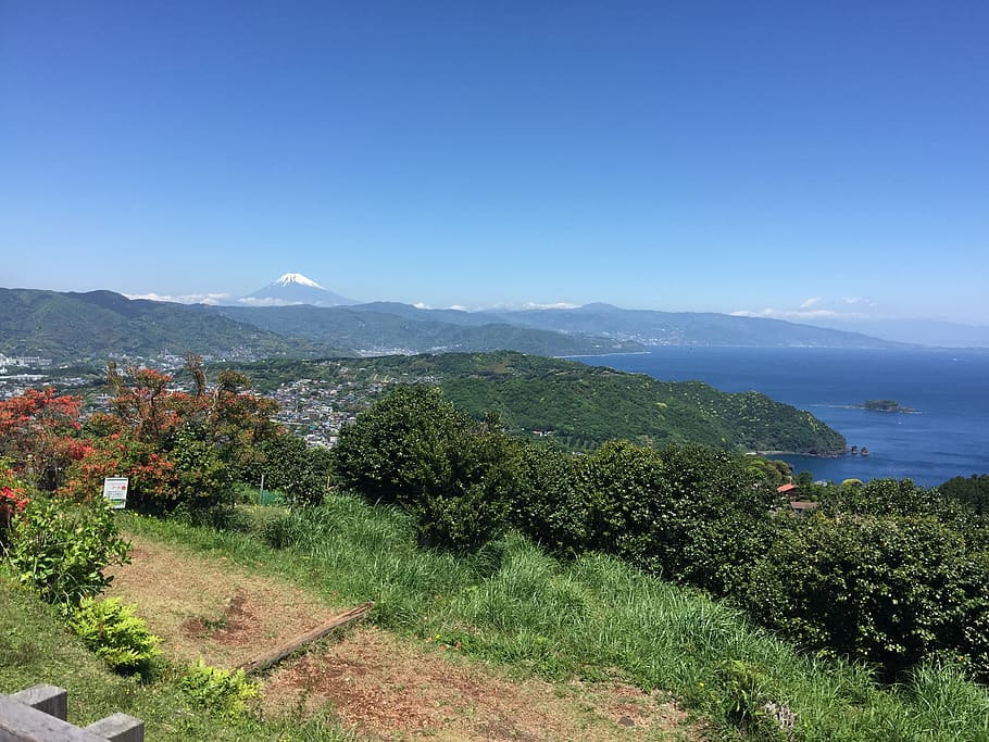 japan, ito, plant, tree, scenics - nature, mountain, beauty in nature HD wallpaper
