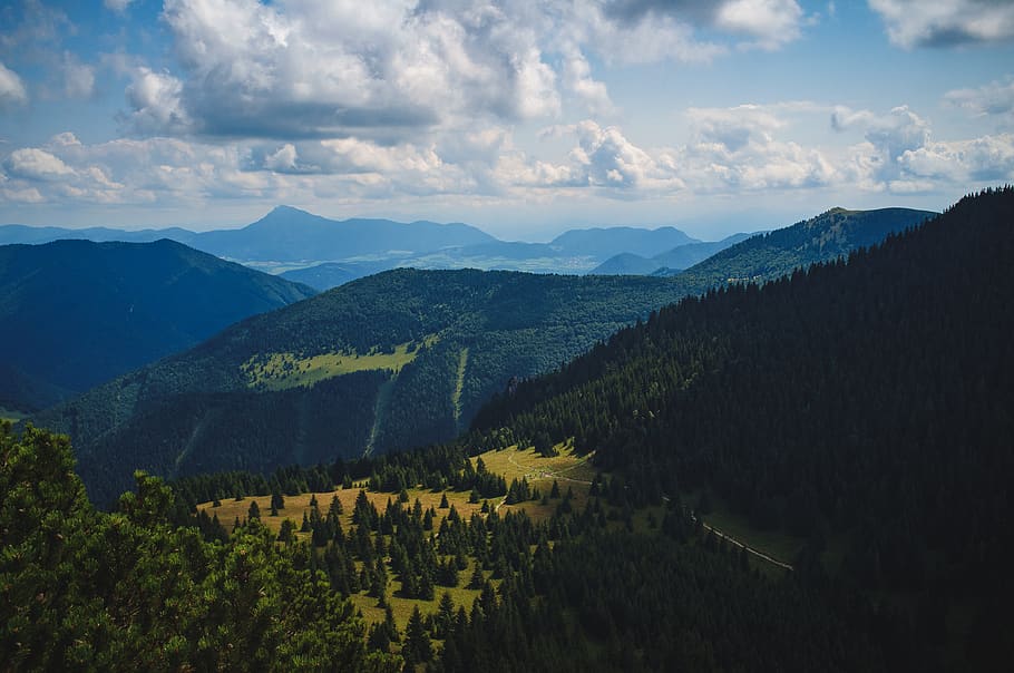 pine trees and mountains, mountain range, nature, outdoors, slovakia HD wallpaper