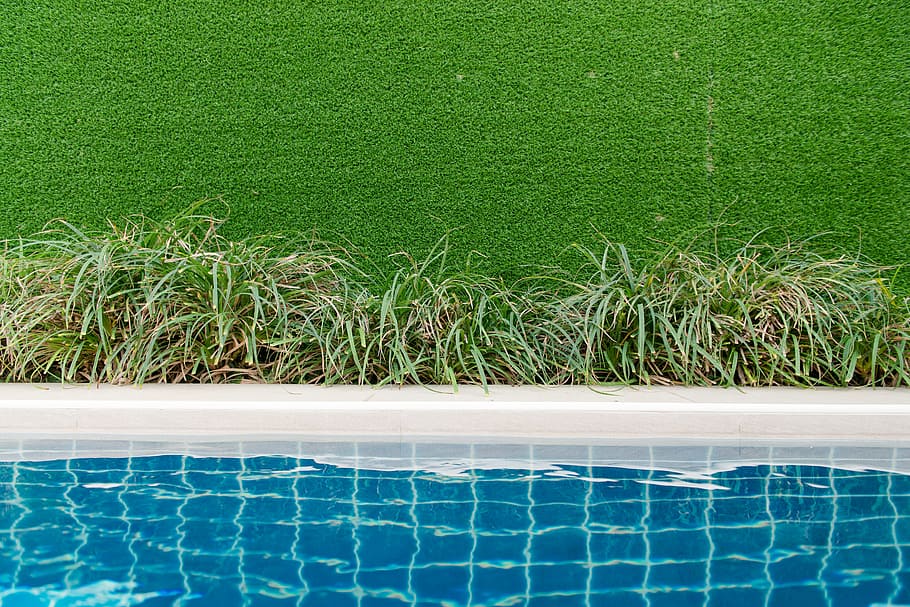 Green Grass Field, blue, bright, clean, clear, colors, daytime HD wallpaper
