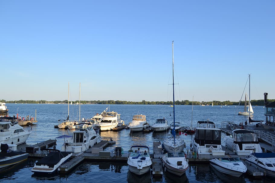 toronto, canada, harbourfront, ferry, nautical vessel, transportation HD wallpaper