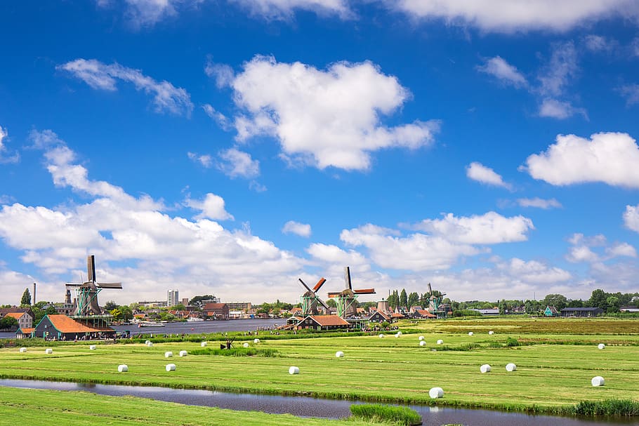 Green Grass Field, amsterdam, cropland, europe, farm, Holland, HD wallpaper
