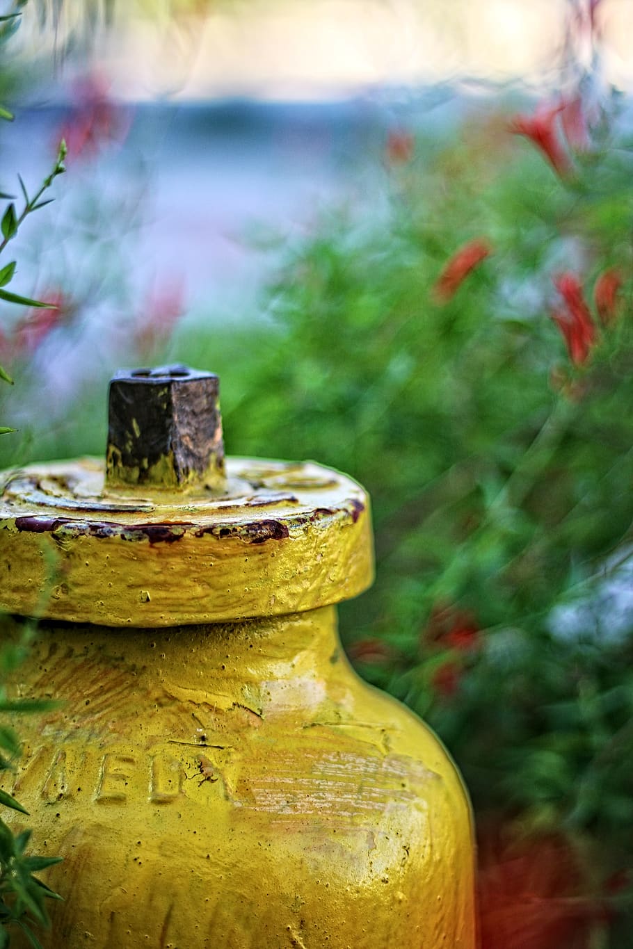 yellow, texture, fire hydrant, focus on foreground, day, metal HD wallpaper