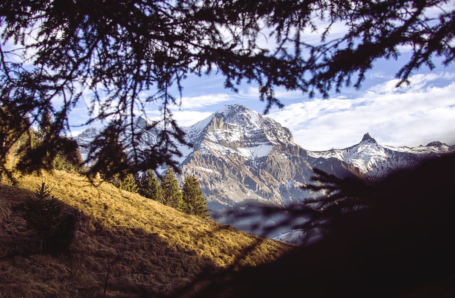 borntobe, cloud, sun, sky, winter, tree, switzerland, adelboden HD wallpaper