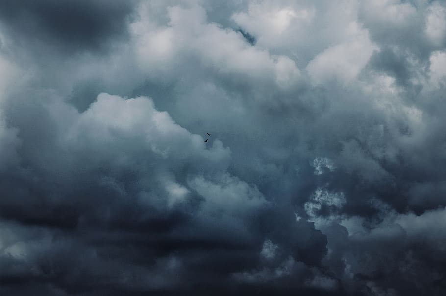 nature, weather, cloud, sky, cumulus, outdoors, animal, bird HD wallpaper