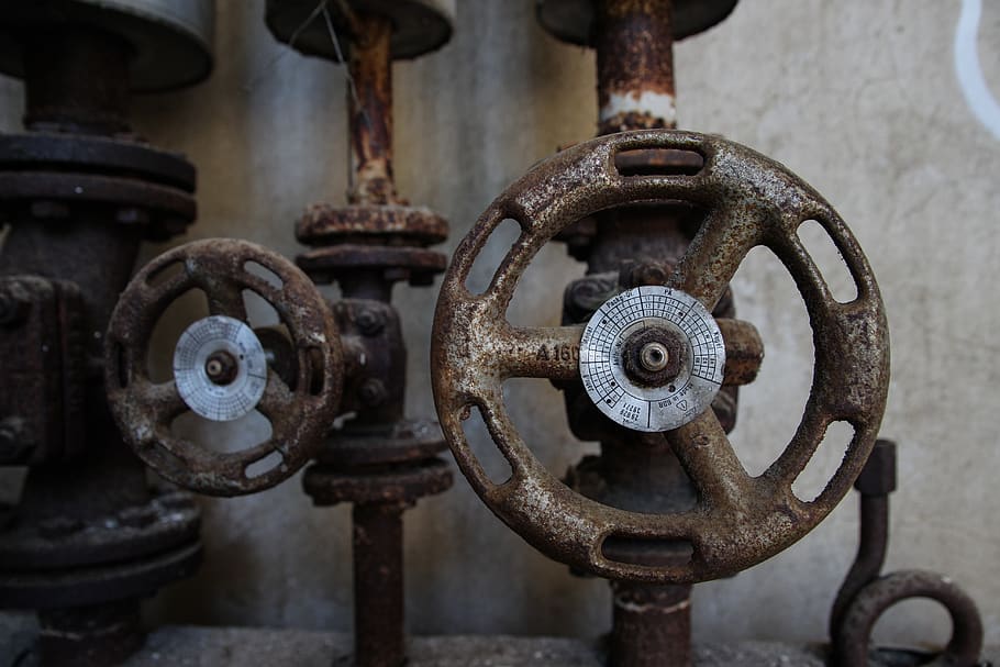 two gate valves, rust, germany, vogelsang, animal, snake, reptile HD wallpaper